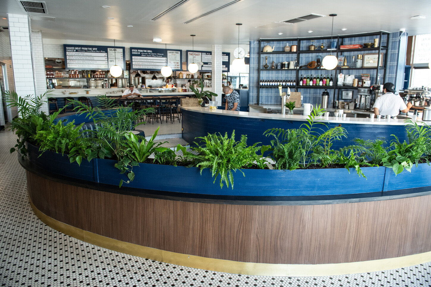 Curved bar with blue planter boxes and shelving bottle display
