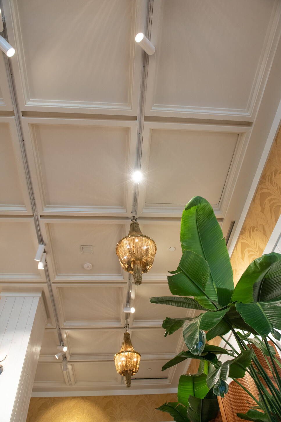 Upward view of handcrafted coffered ceiling grid and brass chandeliers in a Diptyque boutique